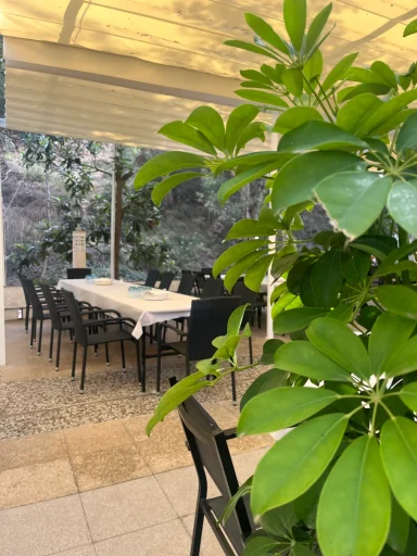 Terraza exterior rodeada de vegetacion mediterranea ideal para comidas y cenas al aire libre en la Marina Baixa.